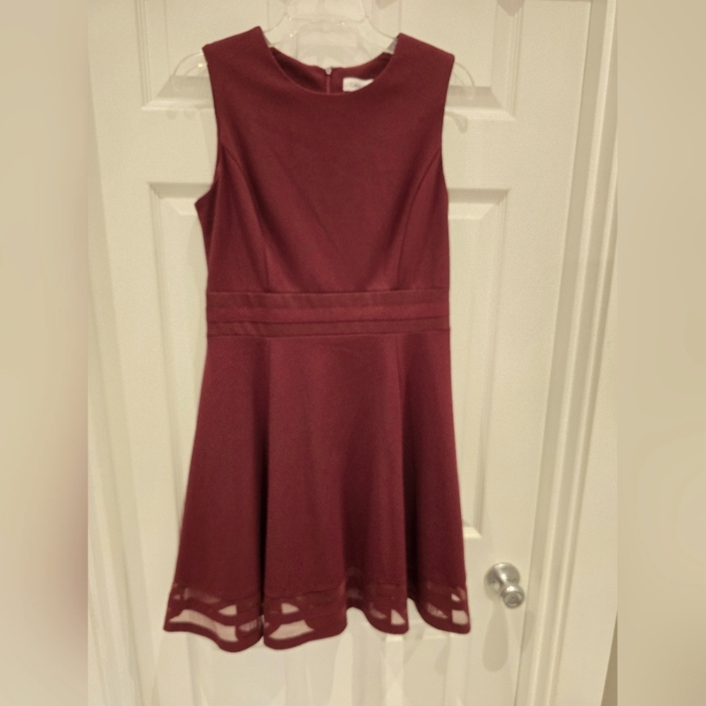 Burgundy Calvin Klein Dress